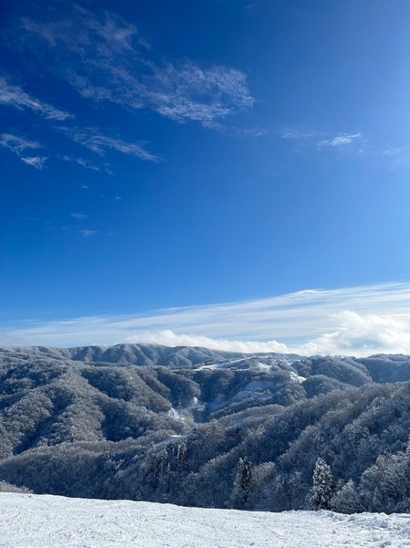 S__21544980_0.jpg